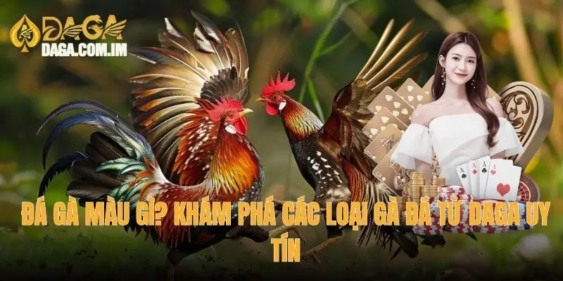 Đá gà màu gì